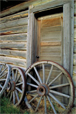 wagon wheels cody wyoming